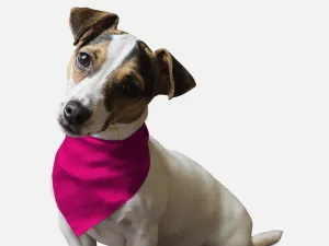 Bandoggies Dog Bandana - Neon Frisbee Pink