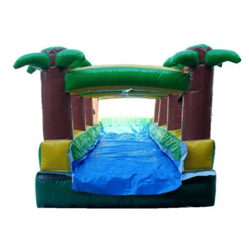 Palm Tree Slip n Splash